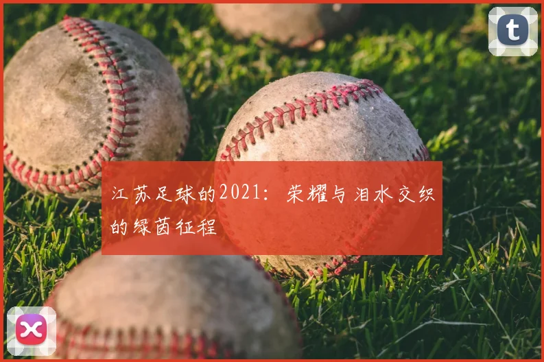 江苏足球的2021:荣耀与泪水交织的绿茵征程