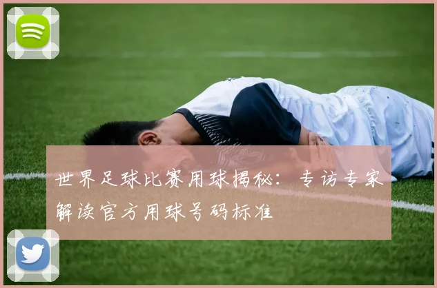 世界足球比赛用球揭秘:专访专家解读官方用球号码标准